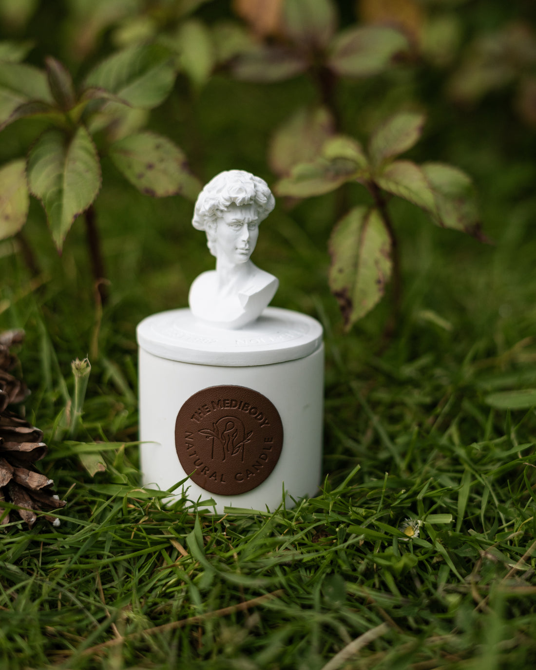 Statue of David Scented Jar Candle