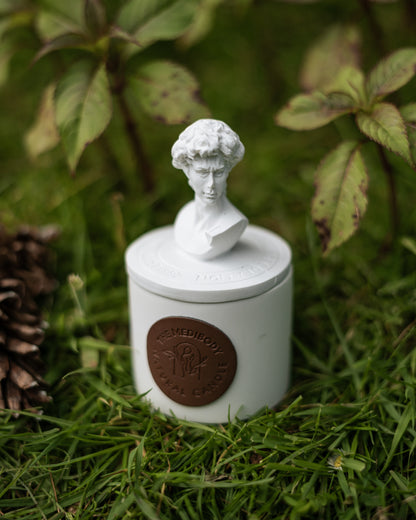 Statue of David Scented Jar Candle